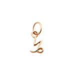 MINI ZODIAC CHARMS | Rose Gold