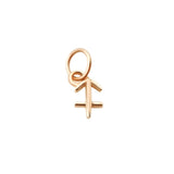 MINI ZODIAC CHARMS | Rose Gold