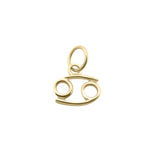 MINI ZODIAC CHARMS | Gold