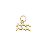 MINI ZODIAC CHARMS | Gold
