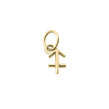 MINI ZODIAC CHARMS | Gold